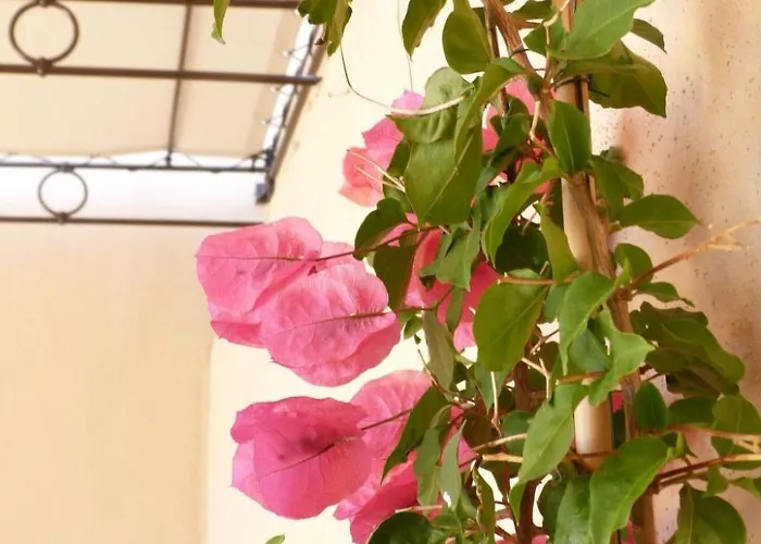 Prázdninový dům 'vista Di Sognu Casa Olivea' By Interhome